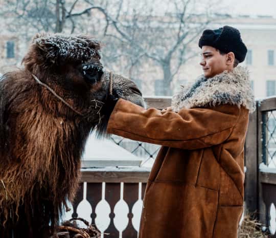 ����������: ������� � �������� �������� � ��������� ���������� (��������)