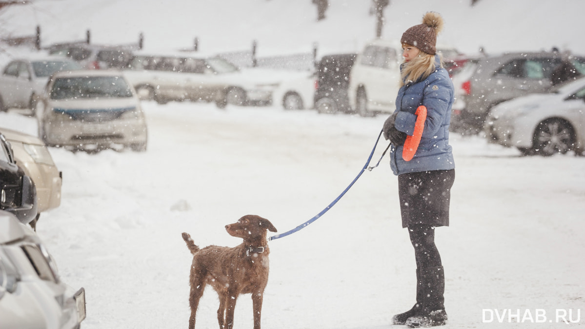 Дождь, снегопад, потепление и резкое похолодание ждут Хабаровск в выходные