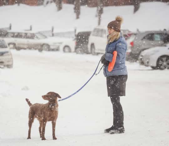 Дождь, снегопад, потепление и резкое похолодание ждут Хабаровск в выходные
