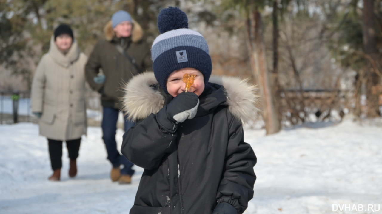 Игры и хороводы: у Гродековского музея в Хабаровске проходят масленичные гуляния (ФОТО; ВИДЕО)