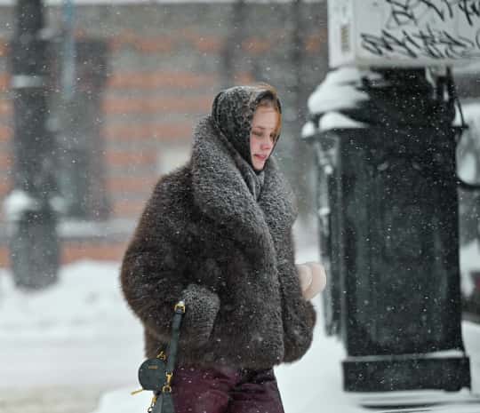 Новый снегопад ожидает Хабаровск на этой неделе
