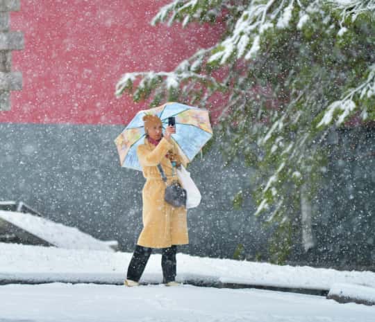 Мокрый снег и пронизывающий ветер: о погоде в выходные рассказали синоптики