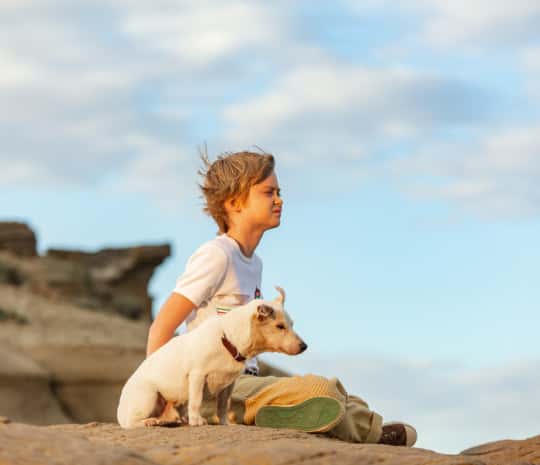 ���� ������ - ���������: ������ �������� � ������ ������� � �������� ������� (��������)