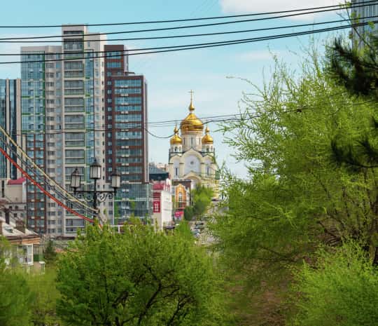 По кадру в день: как менялся Хабаровск от ледохода до цветения миндаля (ФОТОРЕПОРТАЖ)