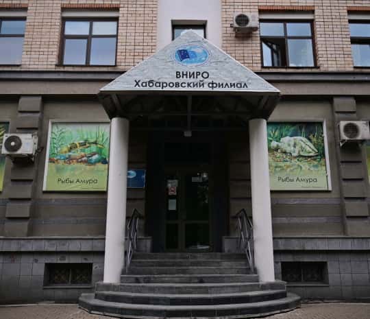 Почему закрыли музей «Рыбы Амура» - рассказали власти (ФОТО)