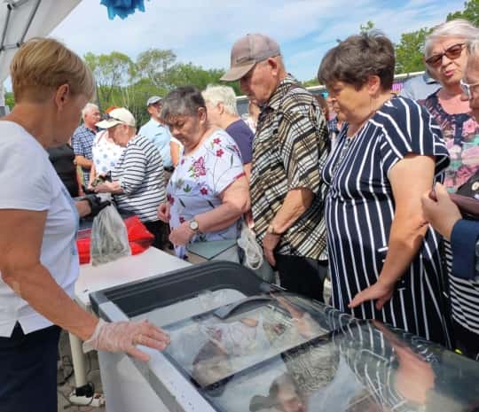 Ажиотаж вызвала торговля рыбой «с колес» в Комсомольске-на-Амуре (ФОТО)