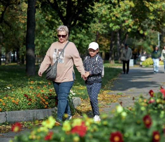 Блок на сайдинг и деревья с крупными плодами - слушания по дизайн-коду устраивает мэрия (ФОТО)